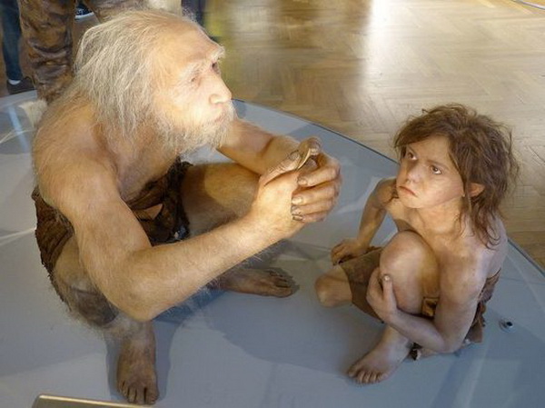 Причиной вымирания неандертальцев стало снижение рождаемости