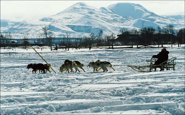 Как Челюскин на собачьих упряжках достиг самой северной оконечности Евразии