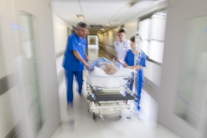 Система OrganEx заставила усомниться в необратимости процесса смерти Система OrganEx заставила усомниться в необратимости процесса смерти