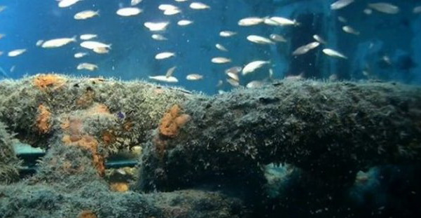 Big Carrier Rief – самый большой искусственный риф в мире