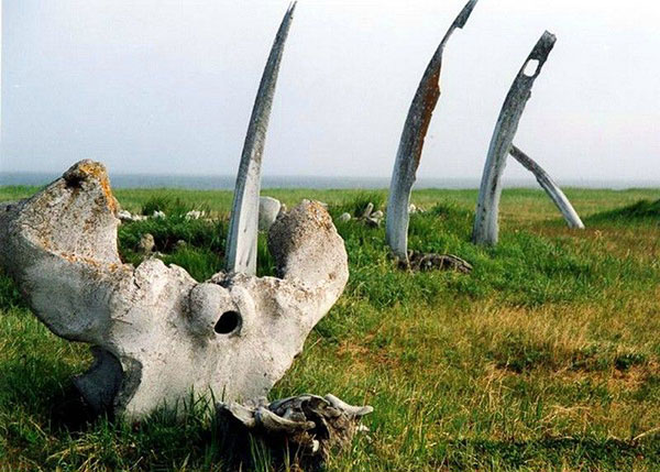 Китовая аллея – самое древнее капище