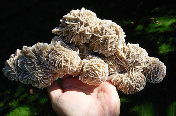 Desert Rose из песни Стинга существует