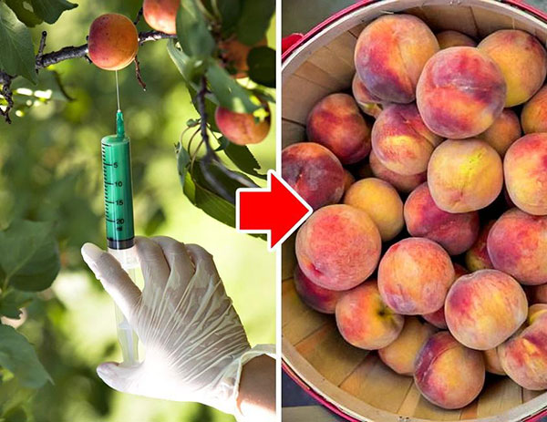 8 продуктов питания, которые ЗАПРЕТИЛИ из-за опасных ингредиентов