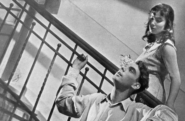 «Летят журавли». История невыдуманной любви