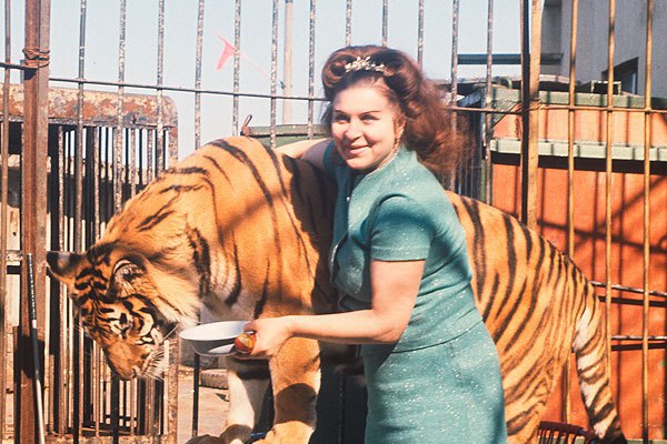 Королева тигров. Маргарита Назарова
