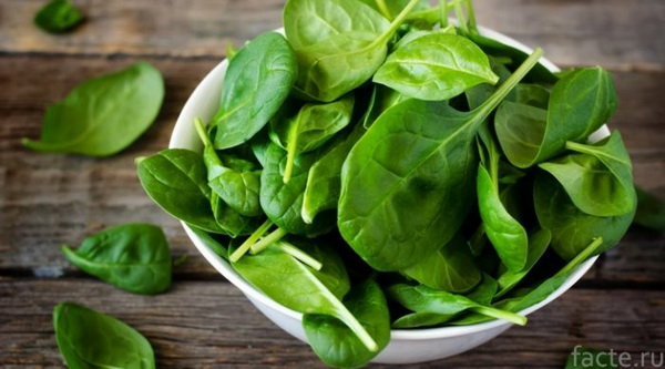20 продуктов, которые развивают лучшие духовные качества