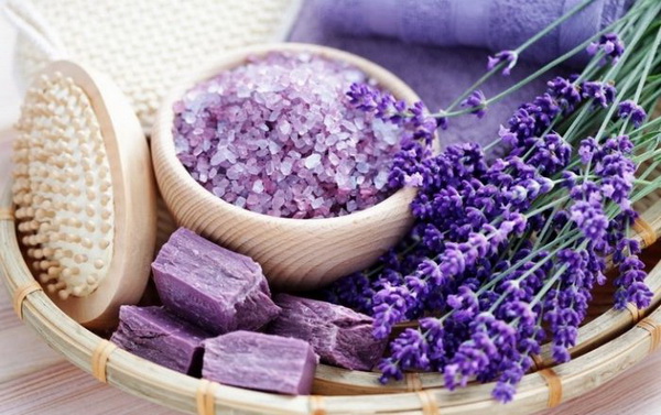 Лаванда и эфирное масло