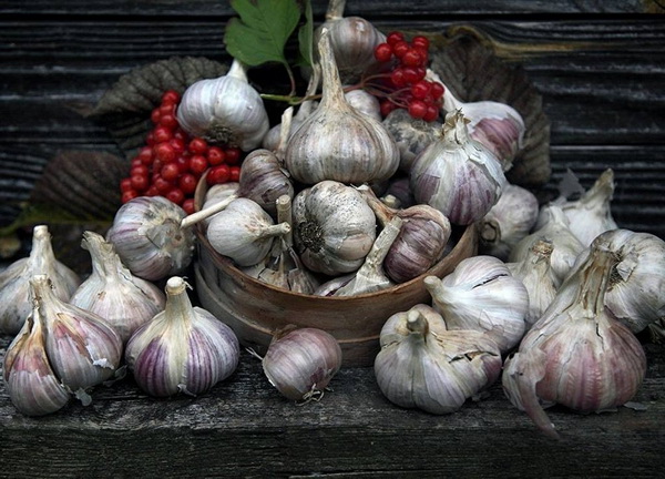 Продукт, который помогает сохранить разум до глубокой старости