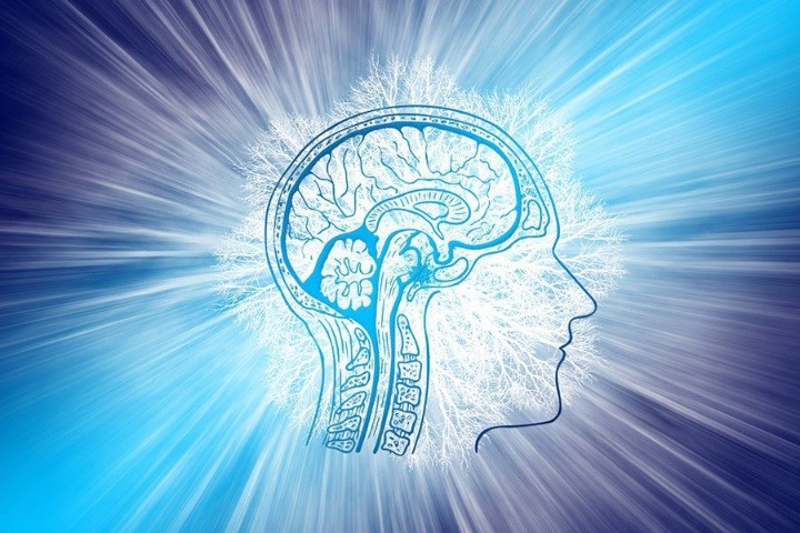 Почему мозг обрабатывает информацию с разной скоростью Почему мозг обрабатывает информацию с разной скоростью