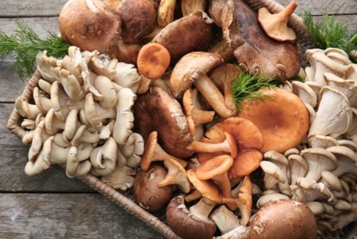 В чем опасность переедания грибов? Ответ врача