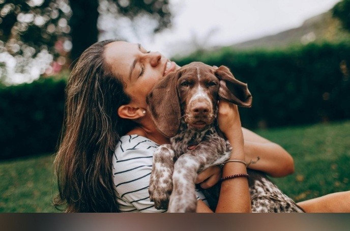 Скучающий хвост: 5 сигналов, что собаке не хватает общения