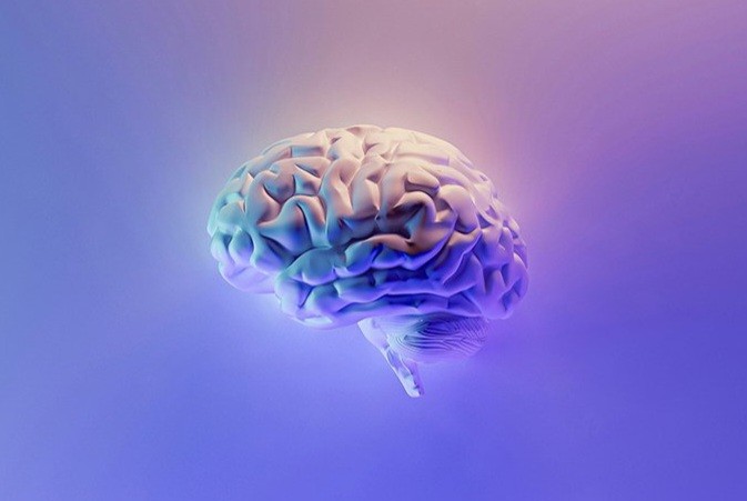 Исследование: мозг меняется поэтапно с возрастом