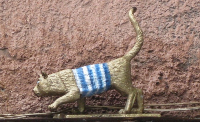 Петербургские коты и кошки и их официальный праздник