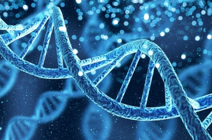 Ученые нашли способ омолодить клетки организма без генной терапии